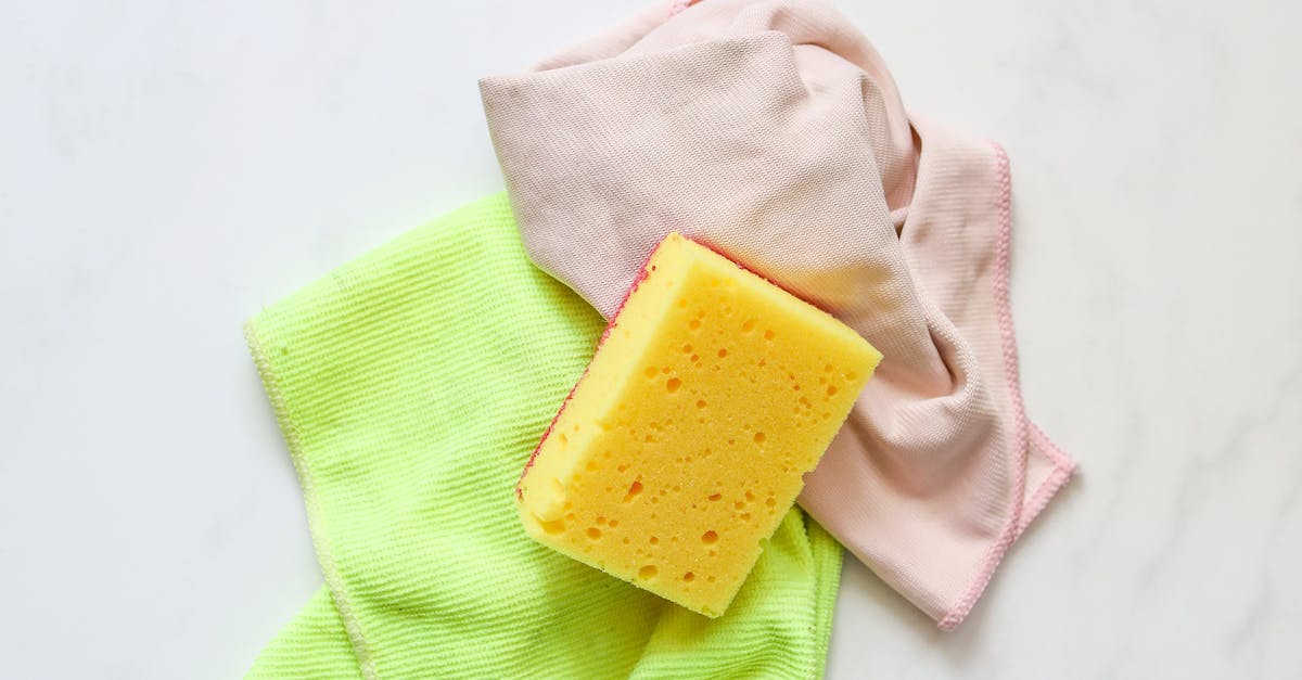 Essential Ingredients for DIY Eco-Friendly Office Cleaners