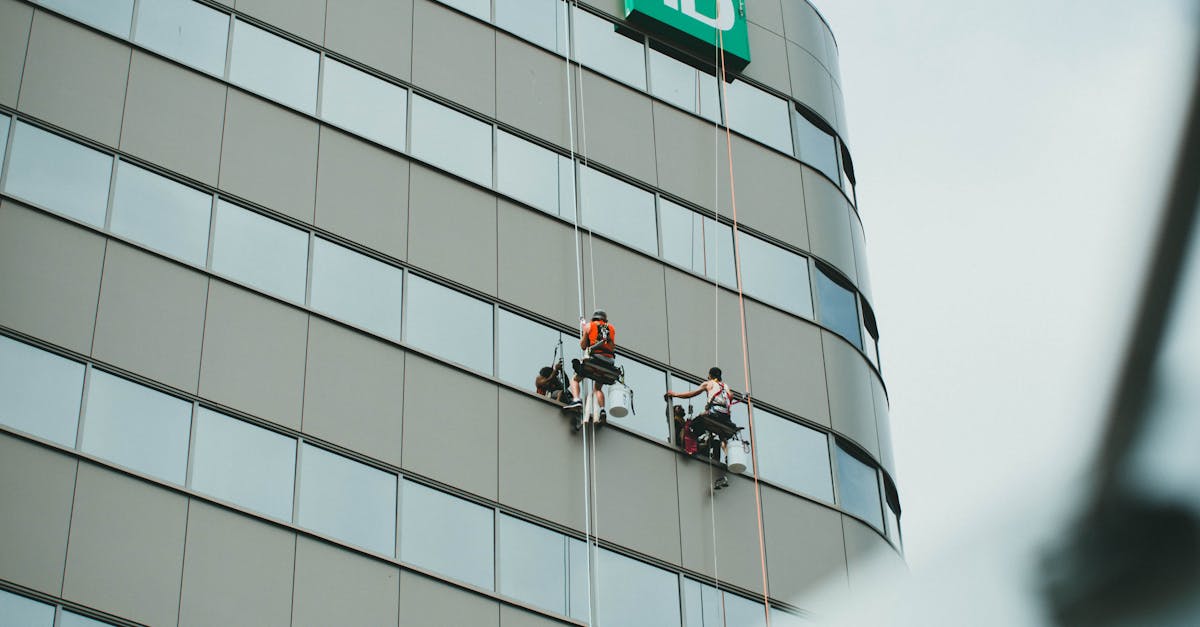 How Often Should You Schedule Regular Office Cleaning Services?