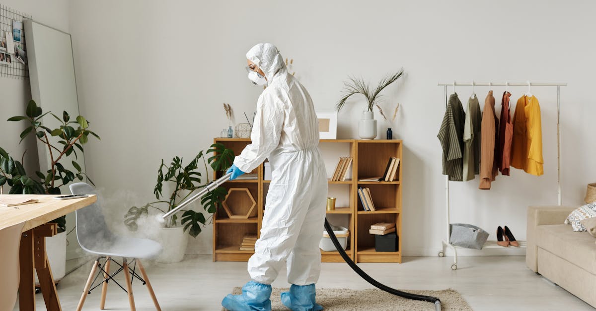 Maintaining a Clean Workspace: Tips for Melbourne Office Managers
