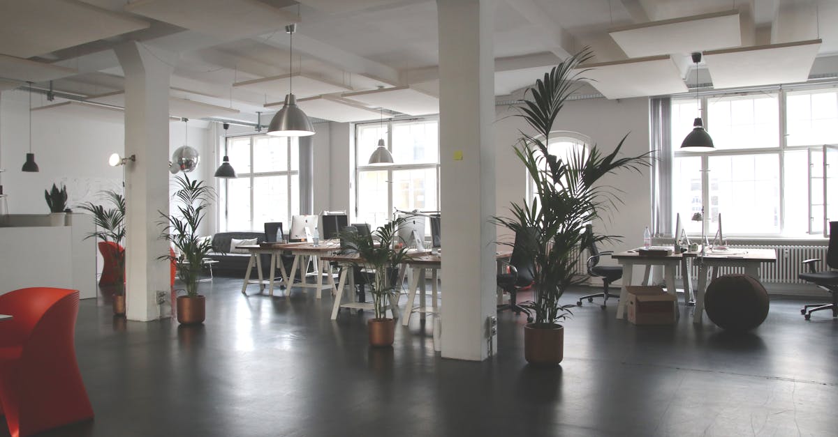 Why Regular Office Cleaning Should Be Part of Your Business Strategy